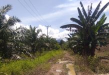 Masyarakat Desa Tammemongga, Tersenyum Setelah jalanan Penghubung Desa Mulaik Membaik.