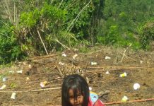 Menanam Nilam Menjanjikan Petani Didusun Salumadingin.