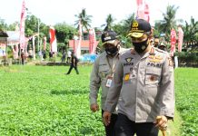 *Hari Pangan Sedunia 2020,Kabaharkam Polri :Ketahanan Pangan Untuk Indonesia Mamuju*