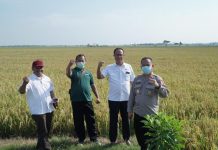 *Ketum FKDB :Program FKDB On Farm Adalah Untuk Kepentingan Kesejahteraan Petani*