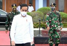 *Besok Tgl 19/1/2021 Jadwalkan Presiden RI Joko widodo Kunjungi Sulbar Paska Gempa*