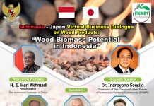 *Investor Jepang Lirik Kerjasama Pembangkit listrik Berbasis Biomassa Di Indonesia*