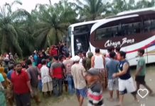 Hari Minggu 30/1/2022 Terjadi Kecelakaan DiDesa Salugatta Jl.Trans Sulawesi*