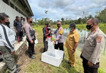 Program Kasuari Satgas Binmas Noken Ops Damai Cartenz Kali Ini Bantu Bibit Ikan Sebanyak 30 Ekor Di Kab.Yahukimo