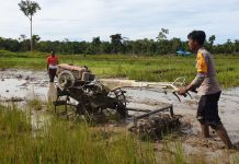 Program Kasuari Melaksanakan Kegiatan Penggarapan Lahan Sawah Spot Pertanian Dikampung Moruku