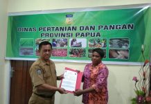 Satgas Binmas Noken Operasi Damai Cartenz Lakukan Kordinasi Dengan Kepala Dinas Pertanian Dan Pangan Provinsi Papua Pusat