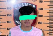 Seorang “Preman Kampung” DiTangkap Polisi Usai Melakukan Pengrusakan Rumah Warga