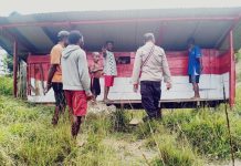 Tingkatkan Pengawasan Pada Spot Babi,Satgasres Binmas Noken Ops Damai Cartenz 2022 Lakukan Pengecekan Kandang Babi Milik Bpk Pena Tua.