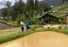 Program Kasuari Satgasres Binmas Noken Ops Damai Cartenz-2022 Sasar Spot Perikanan Milik Tokoh Pemuda Sdr Herman Maeseni
