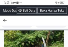 Viral,Sekelompok Warga Masyarakat Gotong Royong Perbaiki Jembatan Darurat Yang Menghubunghkan 5 Desa Dikec.Tabulahan Kabupaten Mamasa Sulbar