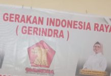 DPP Partai Gerindra Daftarkan Partainya Ke KPU RI,Begini Ungkapan Nelpan