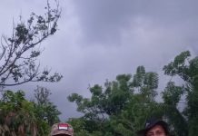 Kolaborasi Guru Dan Mantan Siswa Pada Penanaman Massal Bibit Pohon Cabai Bersama Pj Gubernur Sulbar.