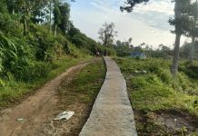 Pemerintah Desa Bela Kec Tapalang Bangun Jalan Penghubung Antara Dusun.