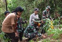 Kodim 1428 Mamasa Melaksanakan Karya Bakti Menanam Pohon.