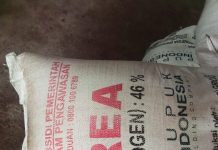 Pupuk Bersubsidi Rencana Di Jual Ke Mateng Berhasil Diamankan Dampos Ramil Kec.Sampaga Mamuju.