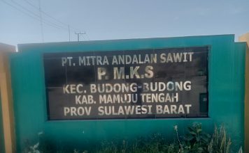 PT Mitra Andalan Sawit Perkuat Industri Kelapa Sawit Di Mamuju Tengah.