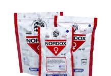 Nordox 56 WP Jadi Andalan Petani Sulawesi Barat, Terbukti Lindungan Tanaman Dari Serangan Penyakit.