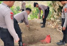Kenang Pengabdian Setia,Apel Pemakaman Satwa K-9″ Getta” Digelar Dipolda Sulbar