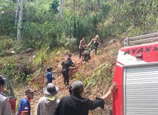 Karhutla Tawalian Mamasa Bakar 2 Hektare Lahan, TNI-Polri Dan Damkar Turun Tangan Api Di Cegah Mendekati Permukiman