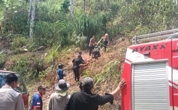 Karhutla Tawalian Mamasa Bakar 2 Hektare Lahan, TNI-Polri Dan Damkar Turun Tangan Api Di Cegah Mendekati Permukiman