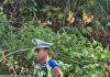 Ditlantas Polda Sulbar Evakuasi Pohon Yang Tumbang SertaTiang Lampung Akibat Hujan Disertai Angin Tadi Shubuh Dimamuju.