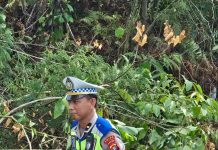 Ditlantas Polda Sulbar Evakuasi Pohon Dan Tiang Lampung Yang Tumbang Akibat Hujan Disertai Angin Tadi Shubuh.