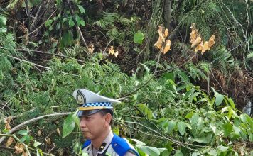 Ditlantas Polda Sulbar Evakuasi Pohon Dan Tiang Lampung Yang Tumbang Akibat Hujan Disertai Angin Tadi Shubuh.