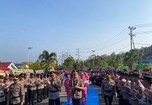 Tradisi Penyambutan Kapolda Sulbar Perkuat Kebersamaan Dan Semangat Melayani Masyarakat