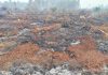 Karhutla Tak Terkendali, Semua Pihak Turun Tangan,Masyarakat Minta Pertolongan